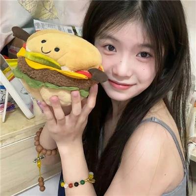 燕子盗